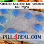 Dragon Power Sexual Capsules 21